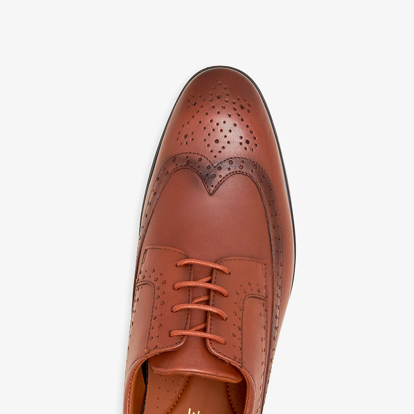 Men's Brogue Laced Shoe