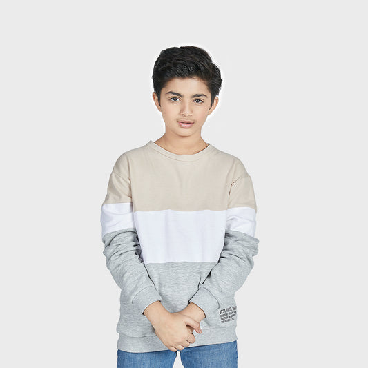 Boys Panelled Sweatshirt